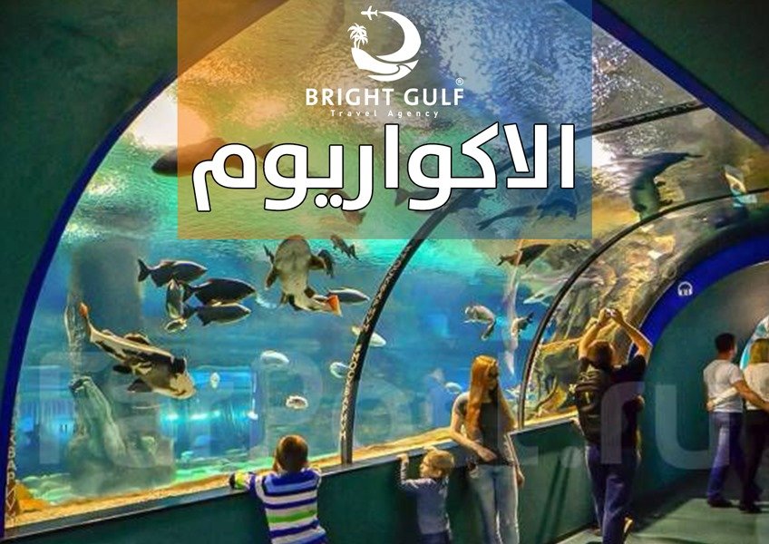 الاكواريوم